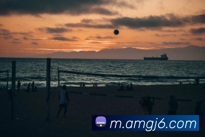 8868体育服务体系